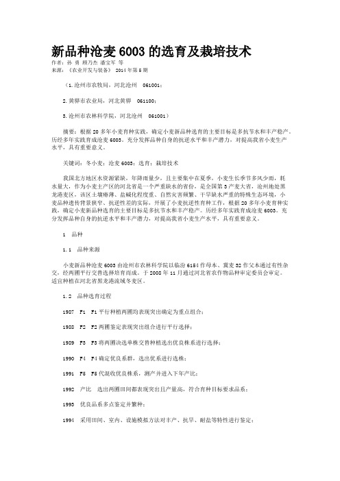 新品种沧麦6003的选育及栽培技术