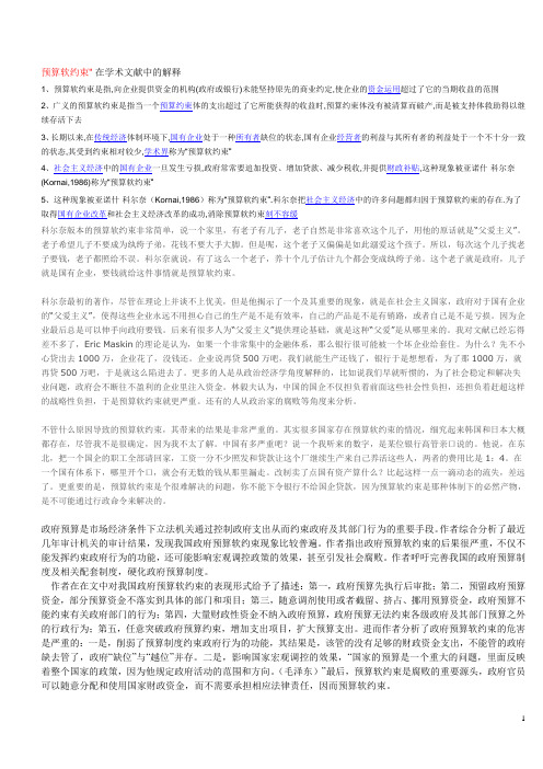 预算软约束