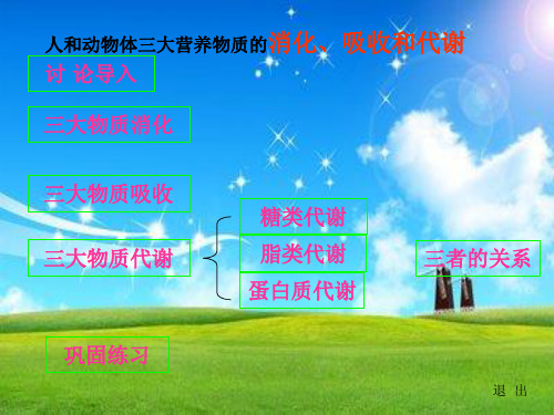 体内营养物质的转换PPT教学课件