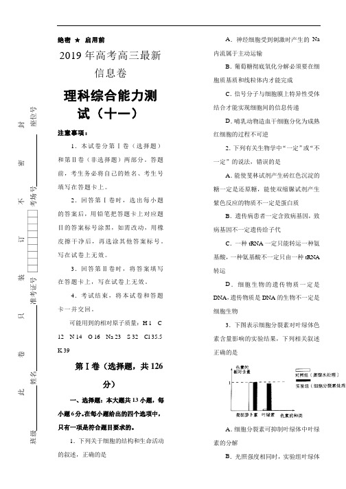 2019年高三最新信息卷理综(十一)Word版含解析