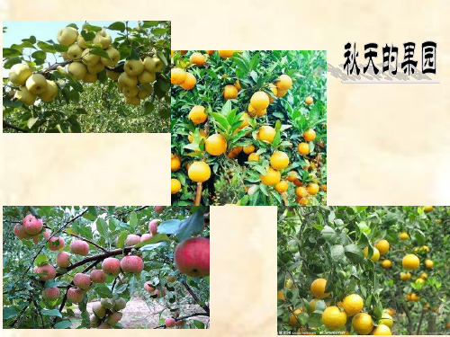 一年级上册《秋天》课件