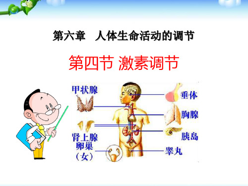 人教版 七年级下册  生物 第四单元 第六章 第四节 激素调节