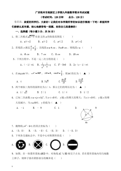 钦州市高新区九年级上册数学期末试题有答案【最新】