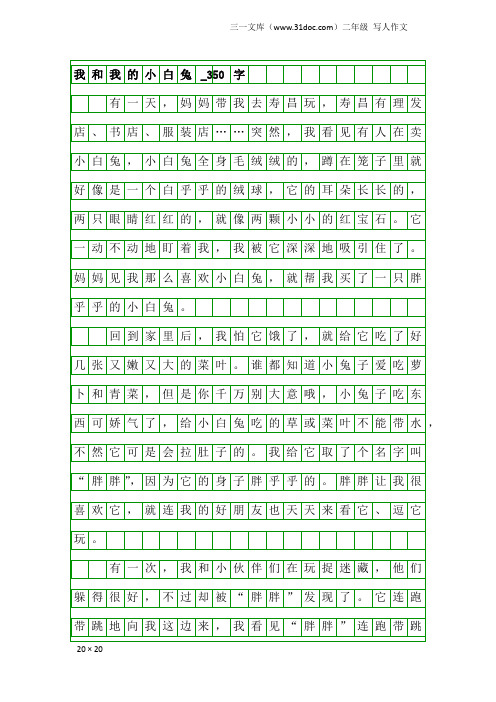 二年级写人作文：我和我的小白兔_350字