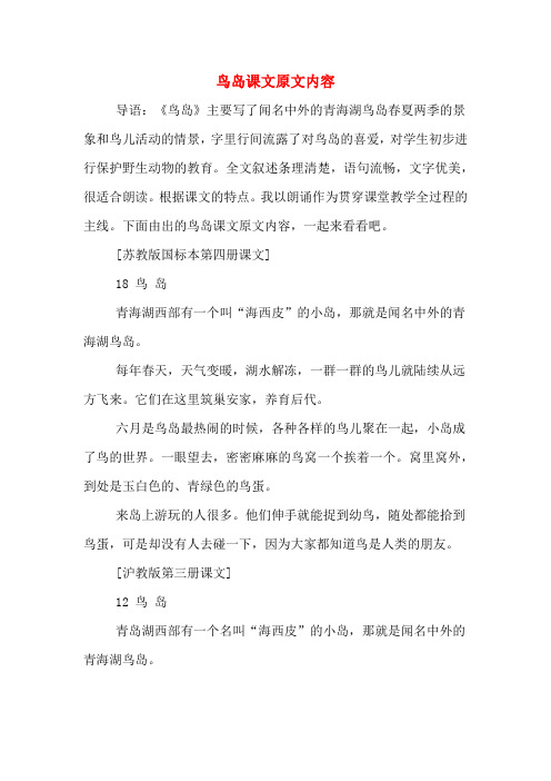 鸟岛课文原文内容