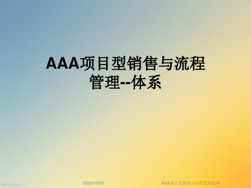 AAA项目型销售与流程管理体系