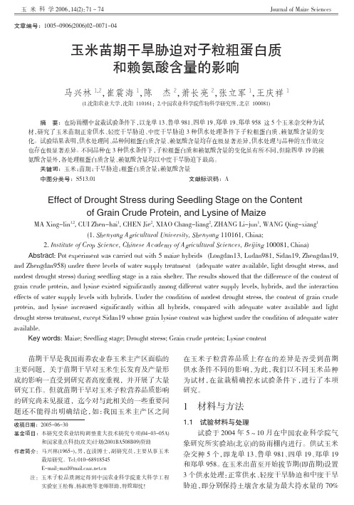 玉米苗期干旱胁迫对子粒粗蛋白质和赖氨酸含量的影响