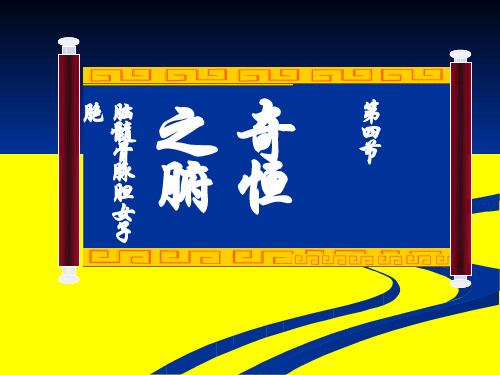 中医基础理论藏象(奇恒之府、脏腑关系)