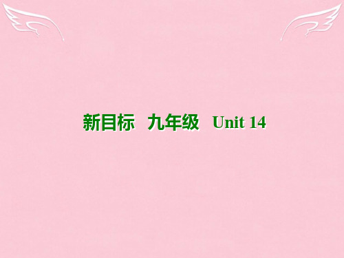 九年级英语全册《Unit 14  Have you packed yet-Section B 2》课件 人教新目标版