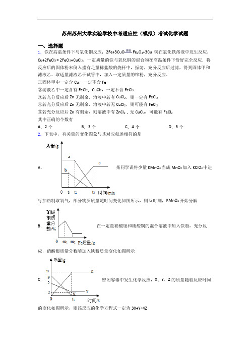 苏州苏州大学实验学校中考适应性(模拟)考试化学试题