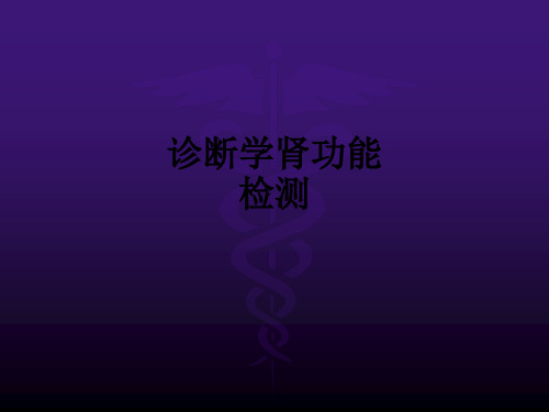 诊断学肾功能检测ppt课件