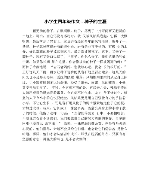小学生四年级作文：种子的生涯