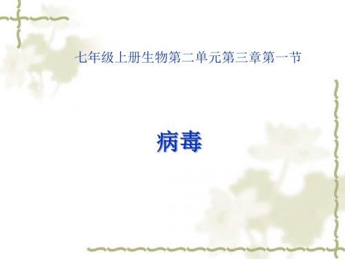 【初中生物】病毒PPT课件29