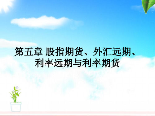 第五章 股指期货、外汇远期、利率远期与利率期货