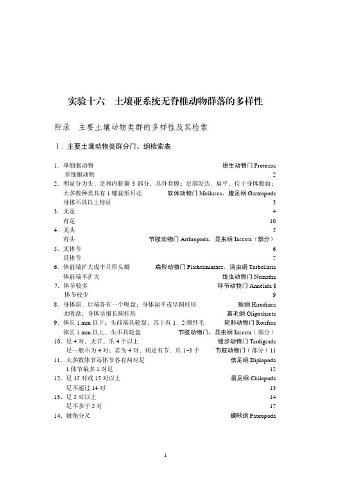 实验十六  土壤亚系统无脊椎动物多样性的调查及测定