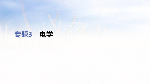 2019年浙江省杭州市中考科学二轮复习专题课件(物理部分)：专题3 电学 (共38张PPT)