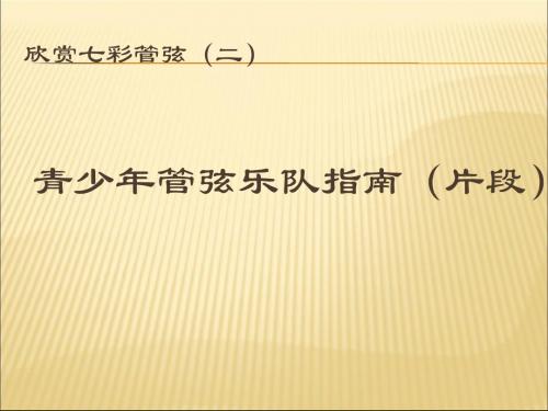 湘艺版初中音乐 青少年管弦乐队指南(片段) 课件