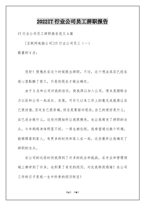 2022IT行业公司员工辞职报告