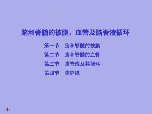 系统解剖学课件：脑、脊髓被膜、血管