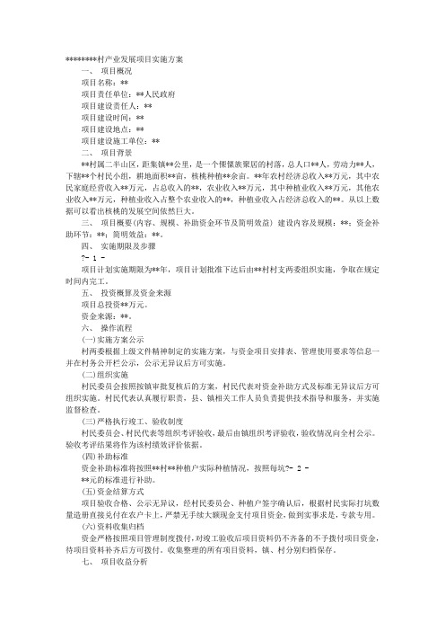 产业规划实施方案