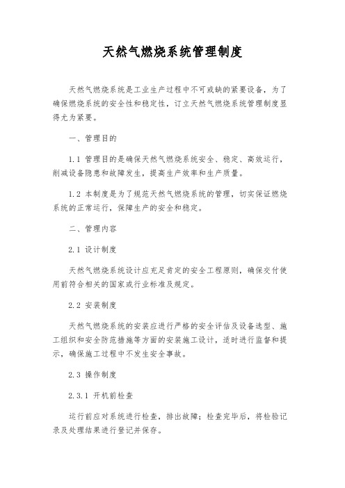 天然气燃烧系统管理制度