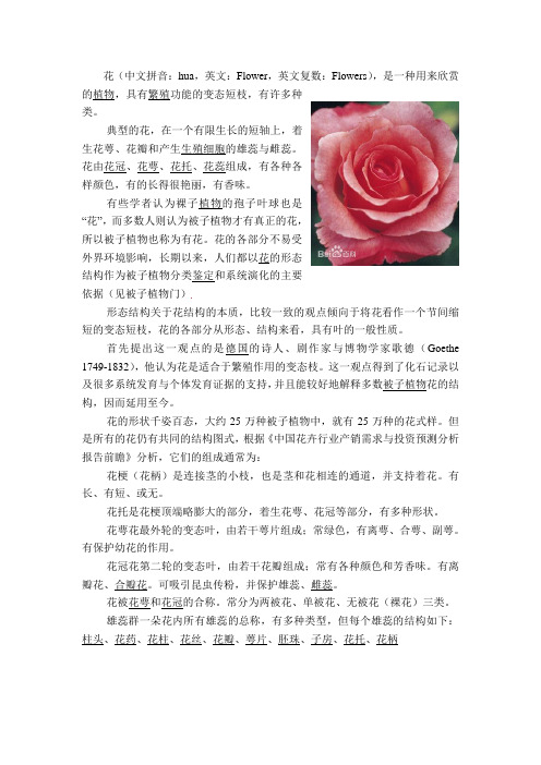 花的资料
