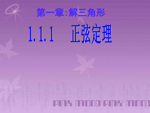 正弦定理优秀课件lizhx