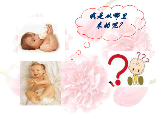 七年级生物下册第一章第二节人的生殖课件人教版