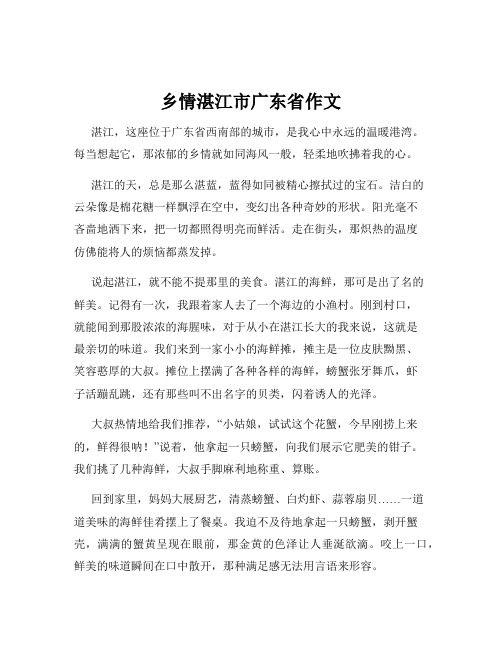 乡情湛江市广东省作文