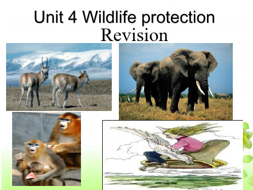 Book 2Unit 4Wildlife Protection