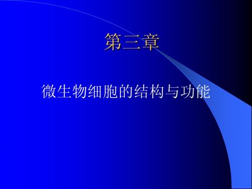 原核生物