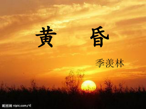 黄昏课件最新