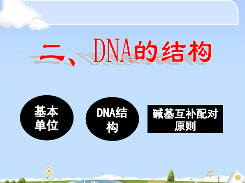 人教版必修二3.2DNA的结构36PPT