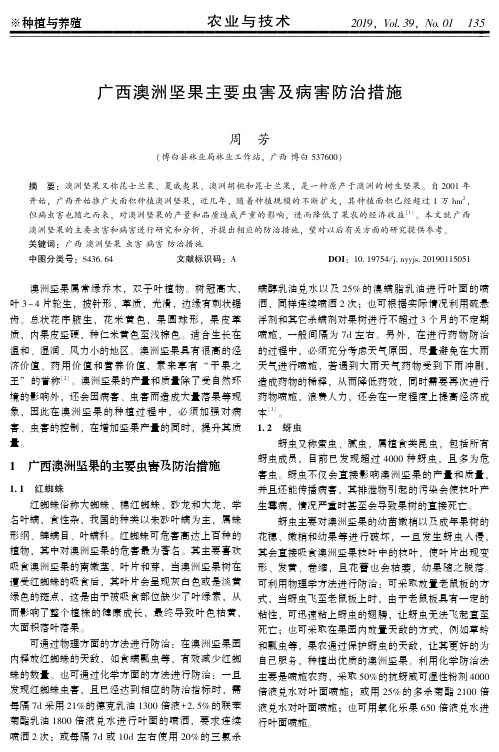 广西澳洲坚果主要虫害及病害防治措施