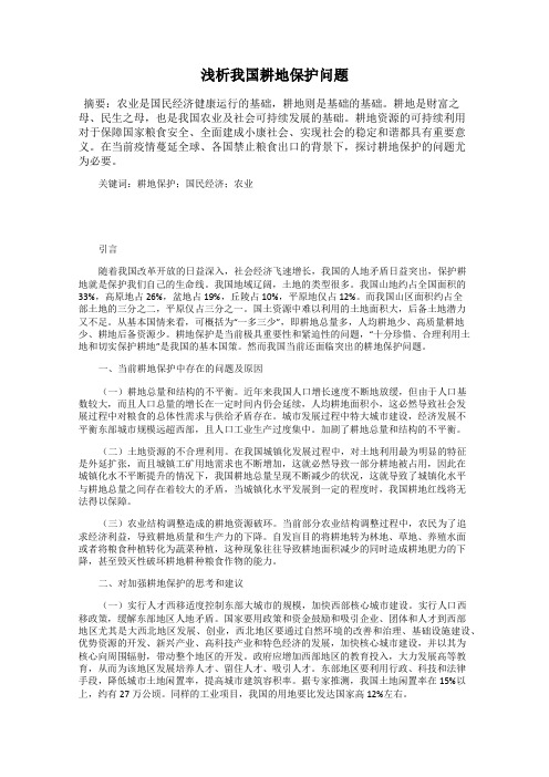 浅析我国耕地保护问题