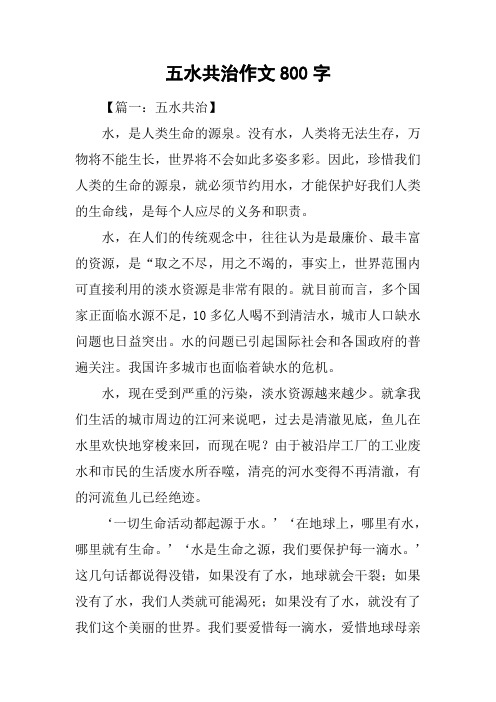 五水共治作文800字