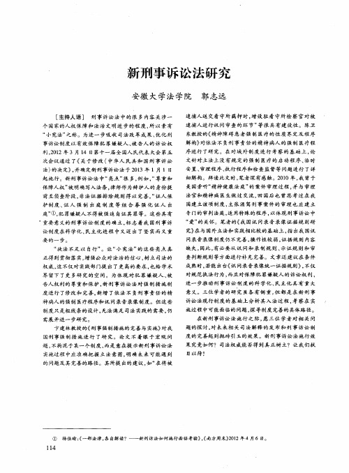 新刑事诉讼法研究
