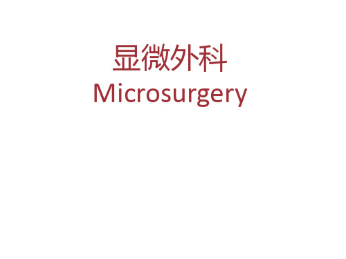 外科学课件：显微外科