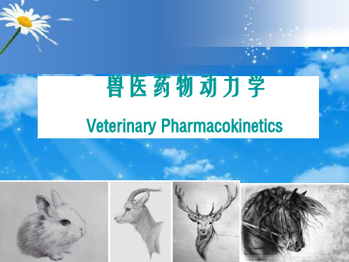 药物动力学概论