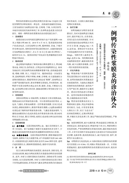 一例鸭传染性浆膜炎的诊治体会