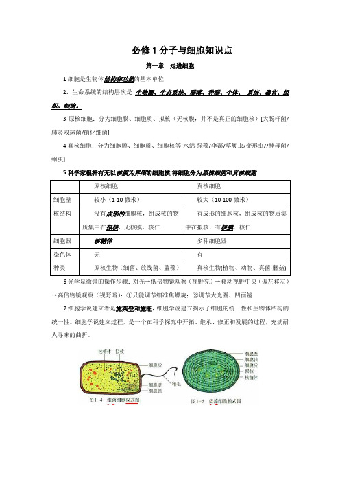 高三生物知识点汇编1