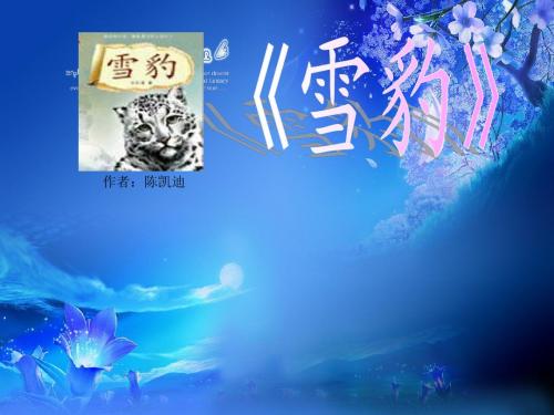 雪豹的演示文稿