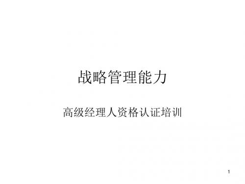 战略管理能力
