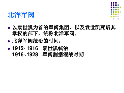 19二次革命与护国运动
