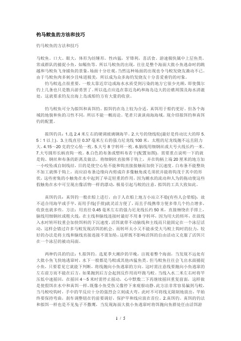 钓马鲛鱼的方法和技巧