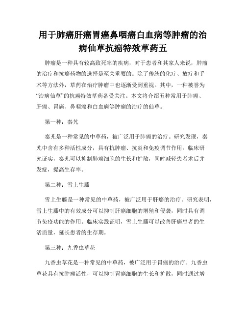 用于肺癌肝癌胃癌鼻咽癌白血病等肿瘤的治病仙草抗癌特效草药五