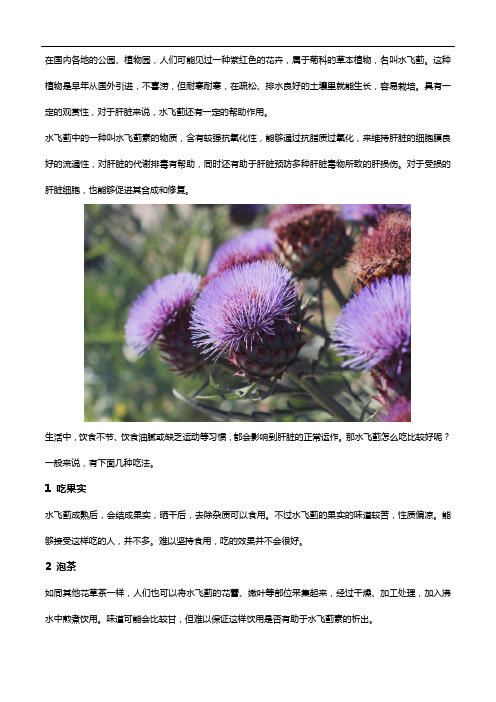 水飞蓟怎么吃？这里给你细细分析!