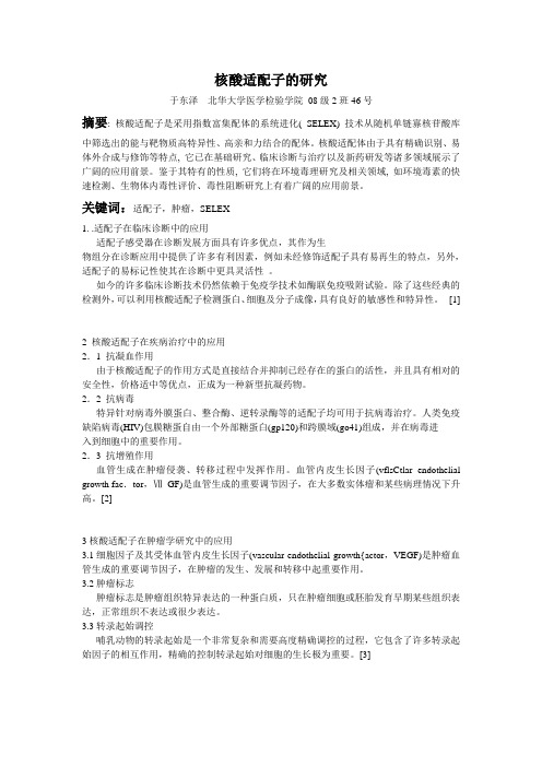 核酸适配子的研究