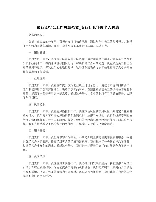 银行支行长工作总结范文_支行行长年度个人总结