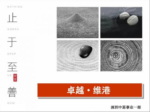 中原万科卓越维港豪宅策划